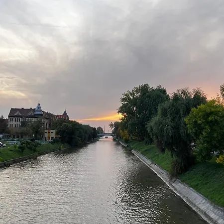 Mara 1 * Тімішоара