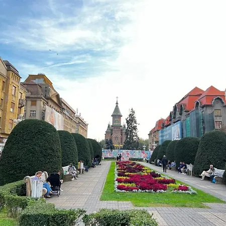 Mara 1 * Timisoara
